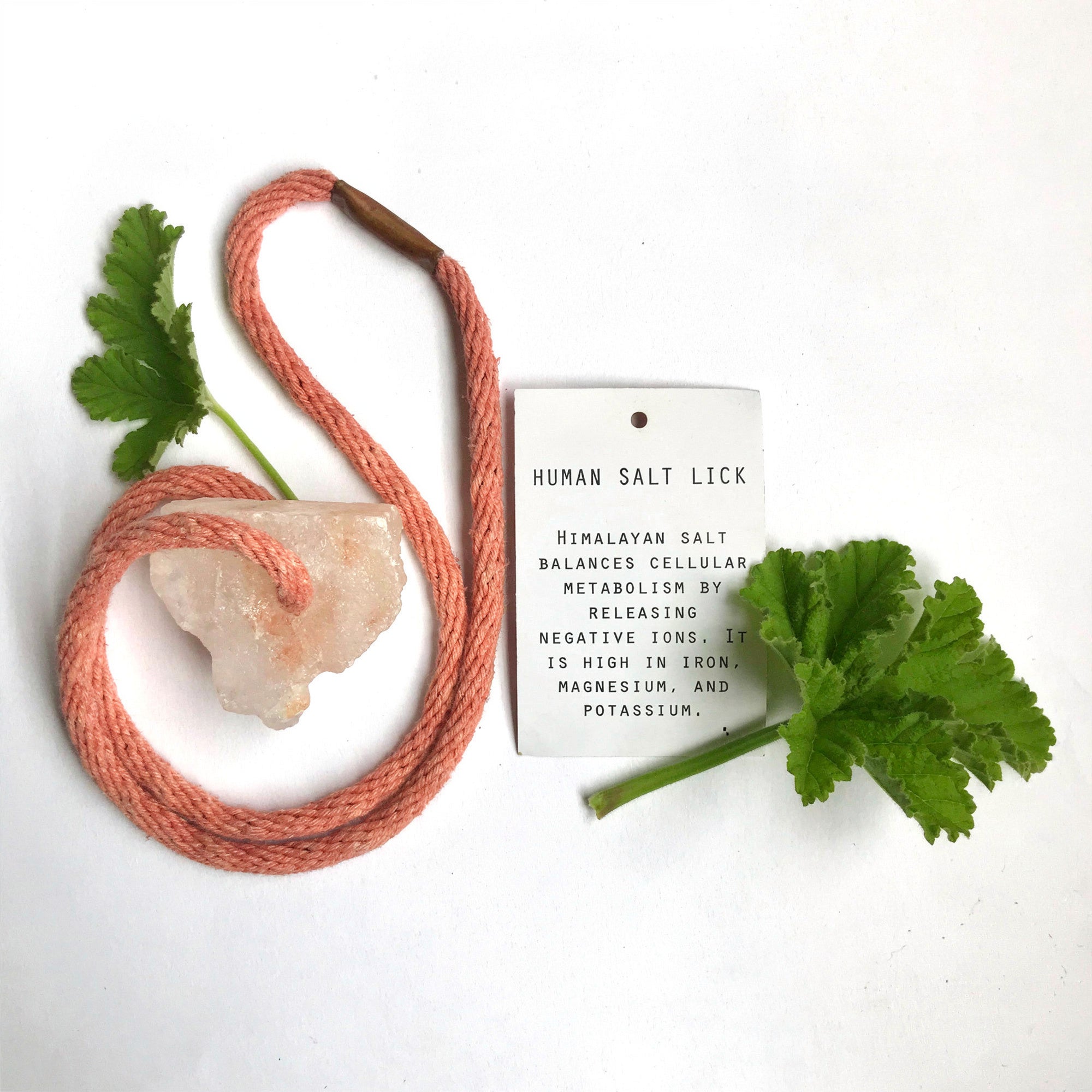 Himalayan Salt Human Lick